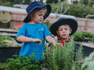 Suncoast Students in Community Garden